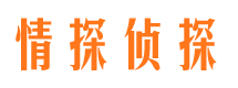 南川市婚外情调查